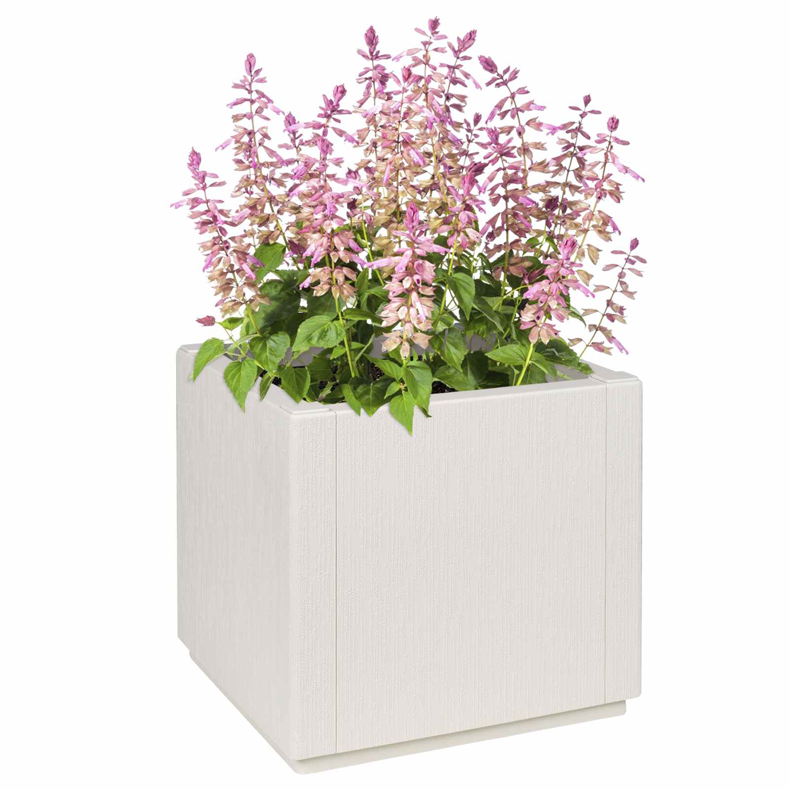 Garden Flower Box White 14.17 x 14.17 x 13.78 in PP